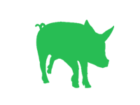 Cerdo Iberico Cebo